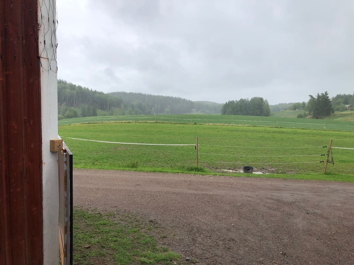 Maatilan auvoa Vihtiläisittäin.