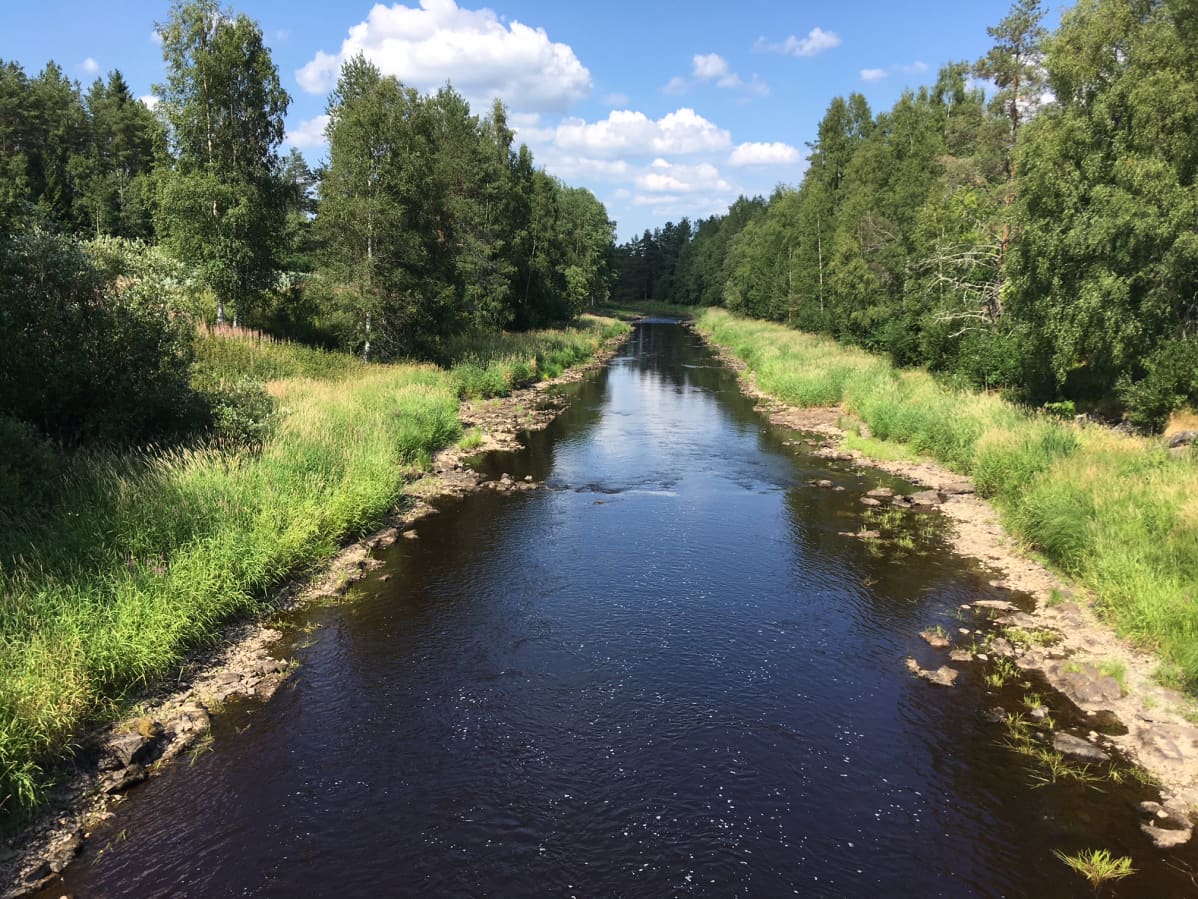 Lapuanjoki Lakaluomalta Karan sillalta kuvattuna 25.7.2018