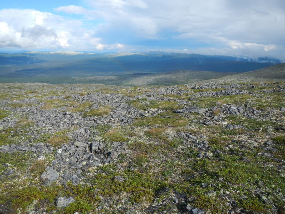 Kivien muodostamia kuviomaita Urho Kekkosen kansallispuistossa.