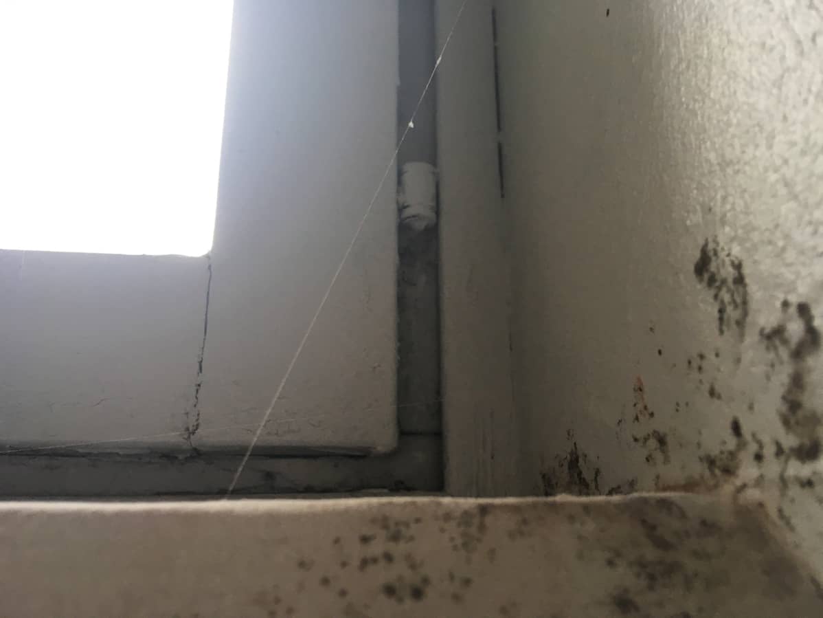 Toralinna kerrostalon asukkaan ottama kuva mahdollisesta homeesta