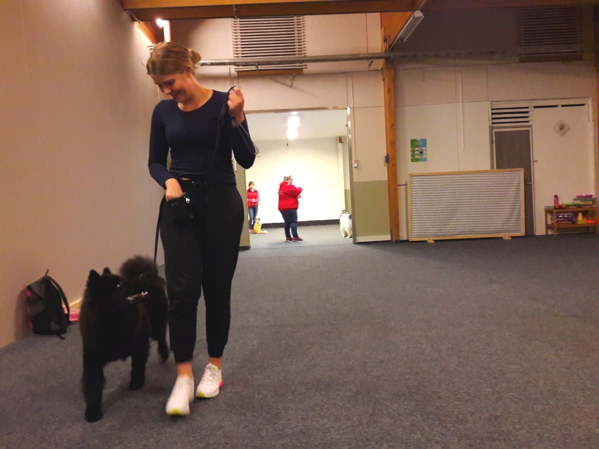 Jenni Niemelä ja Kelvin-koira koulutustreeneissä Kotkassa.