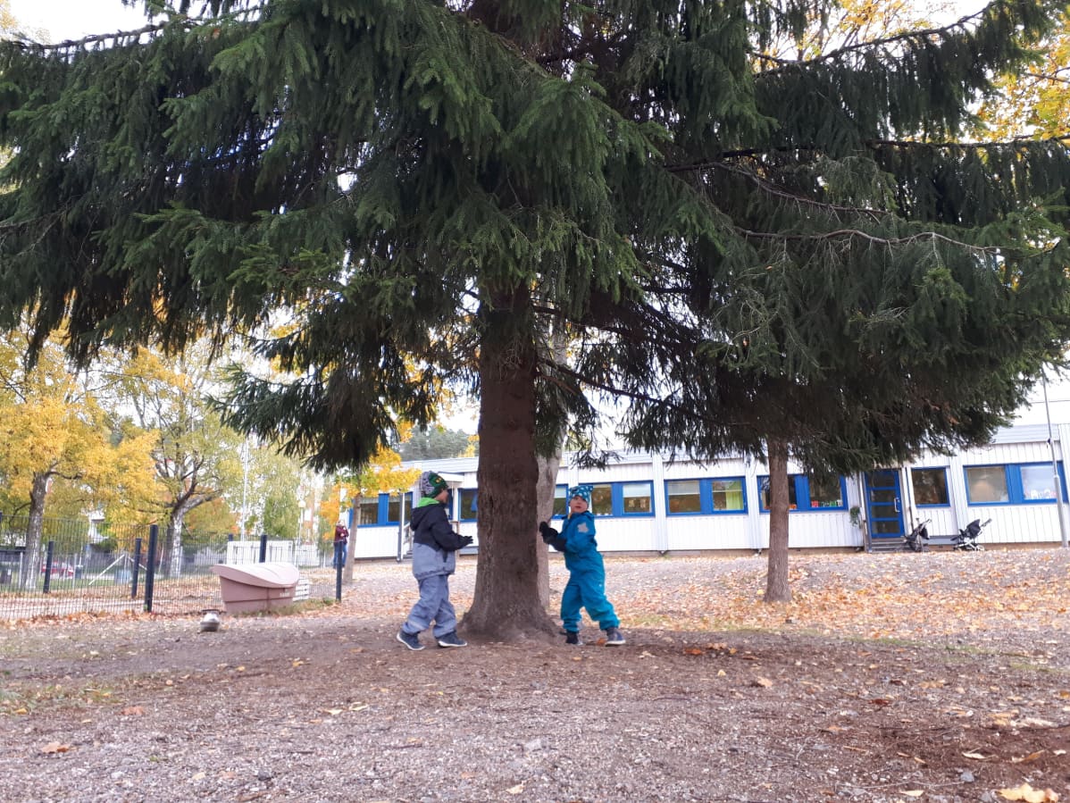 Lapsia kuusen alla