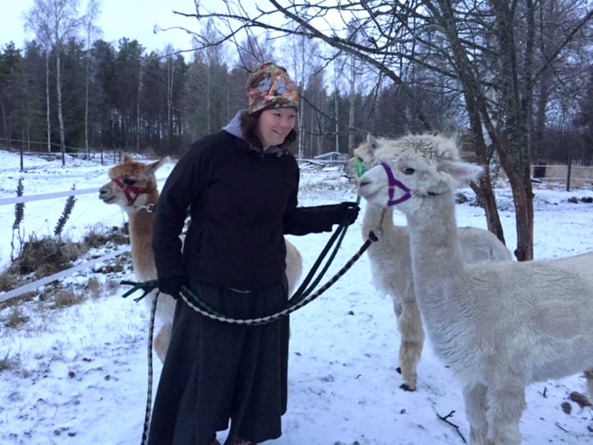 Siru Anu Lahti kolmen alpakan kanssa