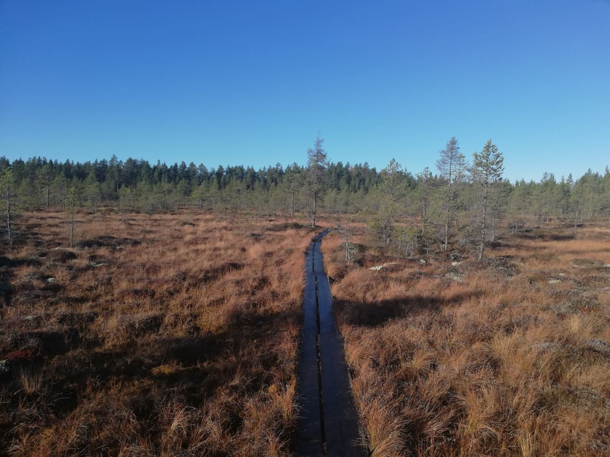 Levaneva sijaitsee Kurikan kaupungin ja Laihian kunnan alueella.
