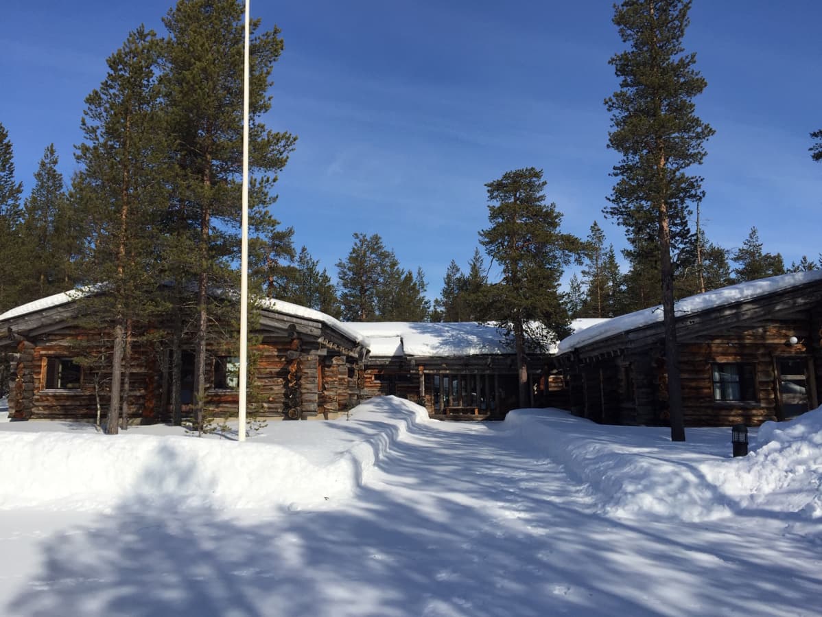 Alkujaan Alkon nykyään Altian Saariselän kelomajalla avataan vientiä Aasian markkinoille. Saariselkä, Inari 3.4.2019