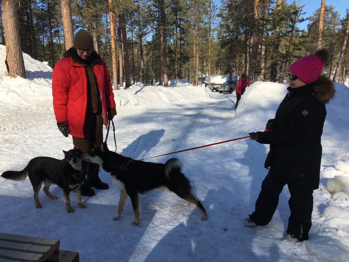Leila Jaakkola, Riitu, Rino ja Kirsti Kustula.