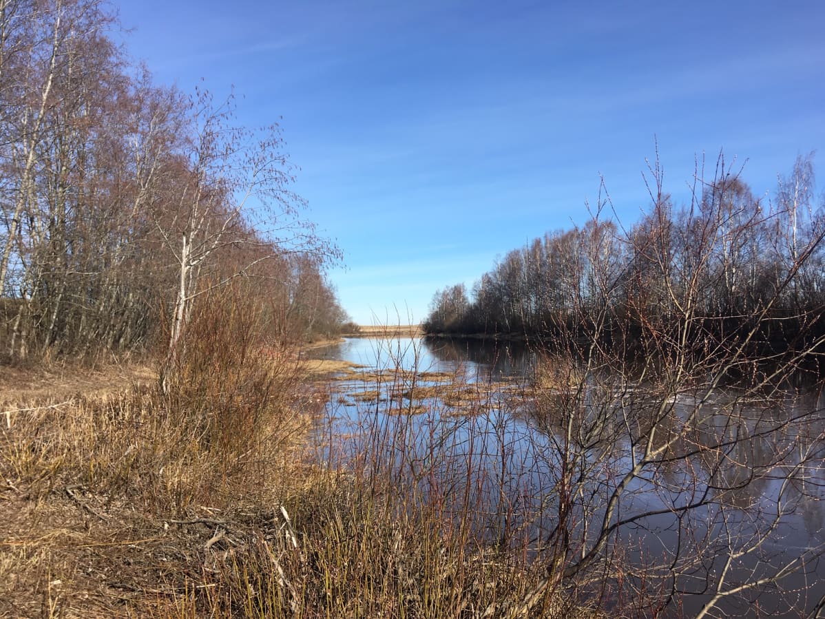 Lapuan Alajoen jokimaisema