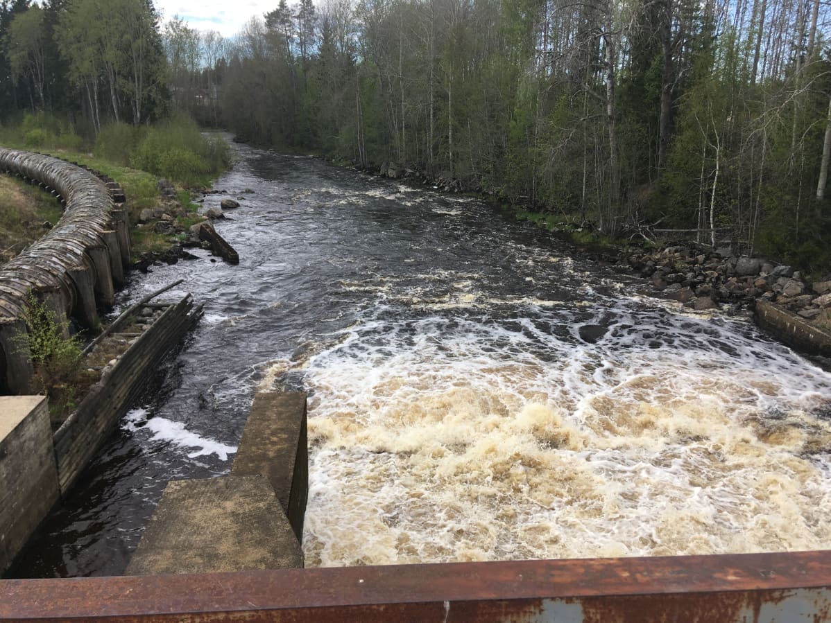 Mäkelänkoski Lapuanjoella