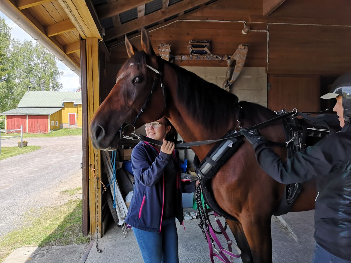 Heidi Kongan hoidettava on huomannut, että lehmäaitauksessa tapahtuu jotain kiinnostavaa.