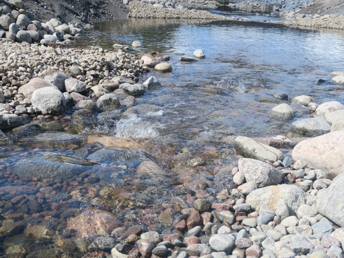 Vantaanjoen uutta juomaa Riihimäellä