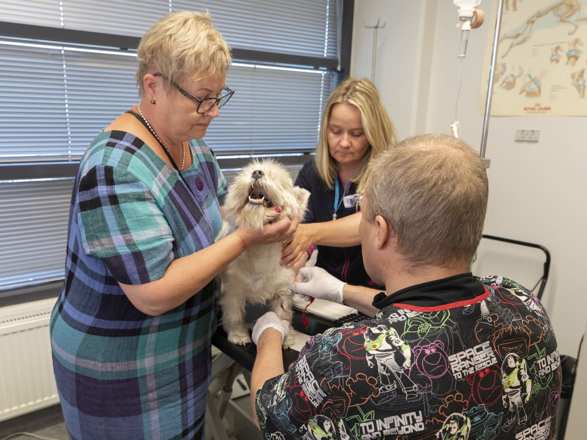 Eläinlääkäri Matti Rinnekangas, klinikkaeläinhoitaja Katja Pesonen, Irja Mämmelä ja Moira-koira.