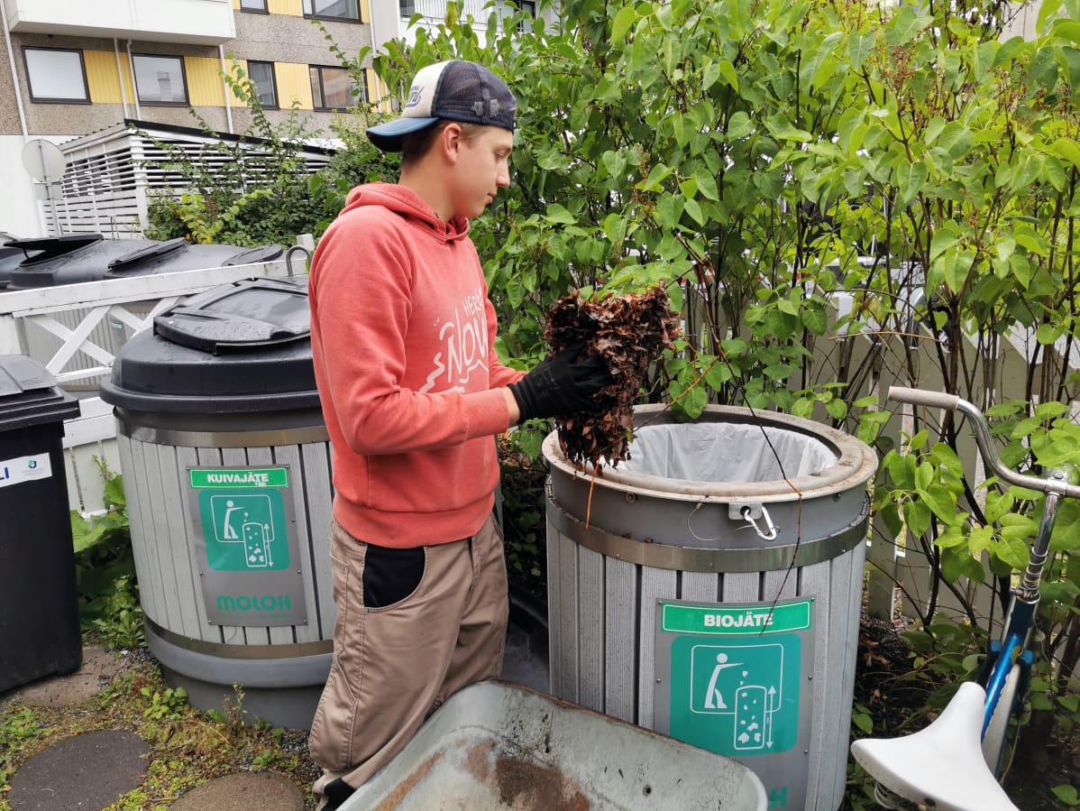 Juho Urhemaa laittaa kuivia lehtiä biojäteastiaan