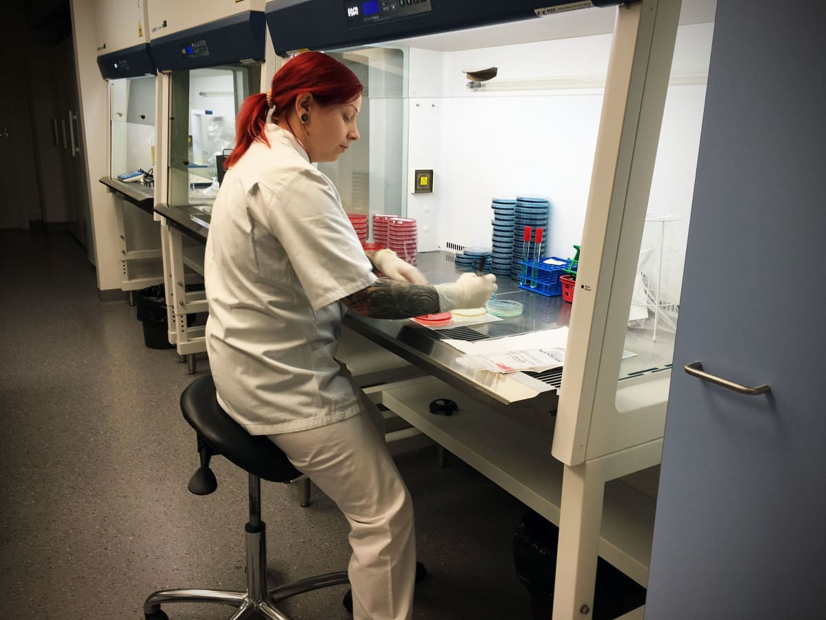 Laborantti Tiina Riippi tekee salmonella-analyysia Seilab -laboratoriossa.