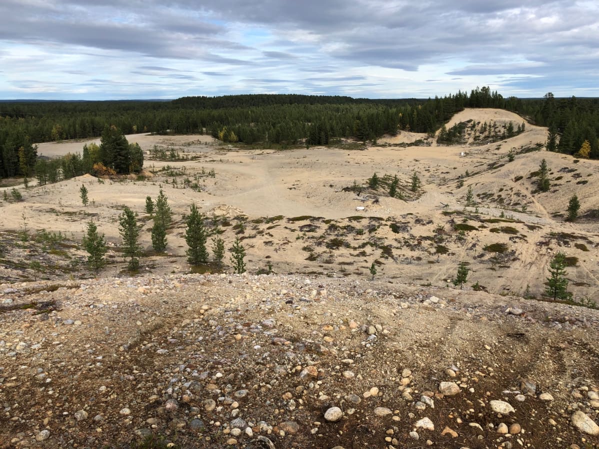 Vanha soramonttu Tuuruharjun lounaispäässä. Tämän alueen Lapin ELY-keskus luokitteli pohjavesialueeksi Tuuruharju A. Kaamanen, Inari, syyskuu 2019.