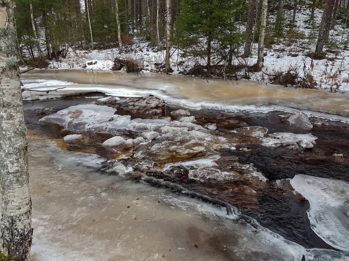 Rusehtava vesi virtaa vuolaana jäisessä joessa.
