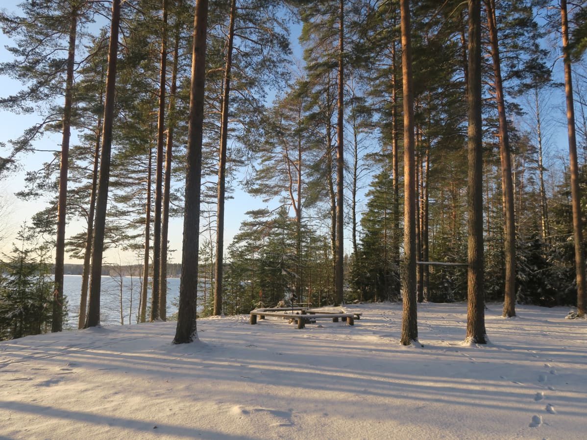 Tarusjärven leiri- ja nuotiopaikka