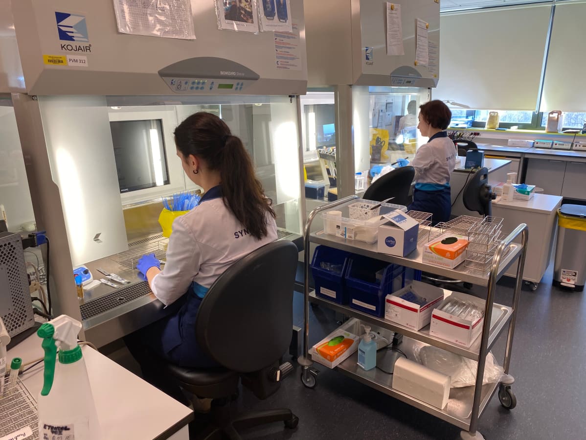 Koronatestien analysointia Synlabin laboratoriossa