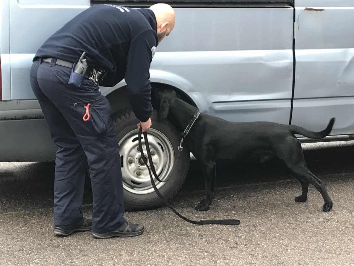 Keravan vankilan koiraohjaaja Sebastian Schlegel ja Sven etsivät huumeita pakettiautosta.