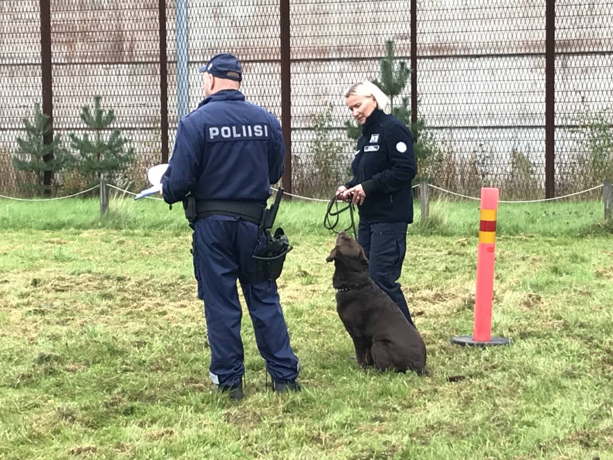 Tottelevaisuuskokeen tuomari antaa ohjeita koiraohjaaja Tiina Päiväläiselle, vieressä Capo.