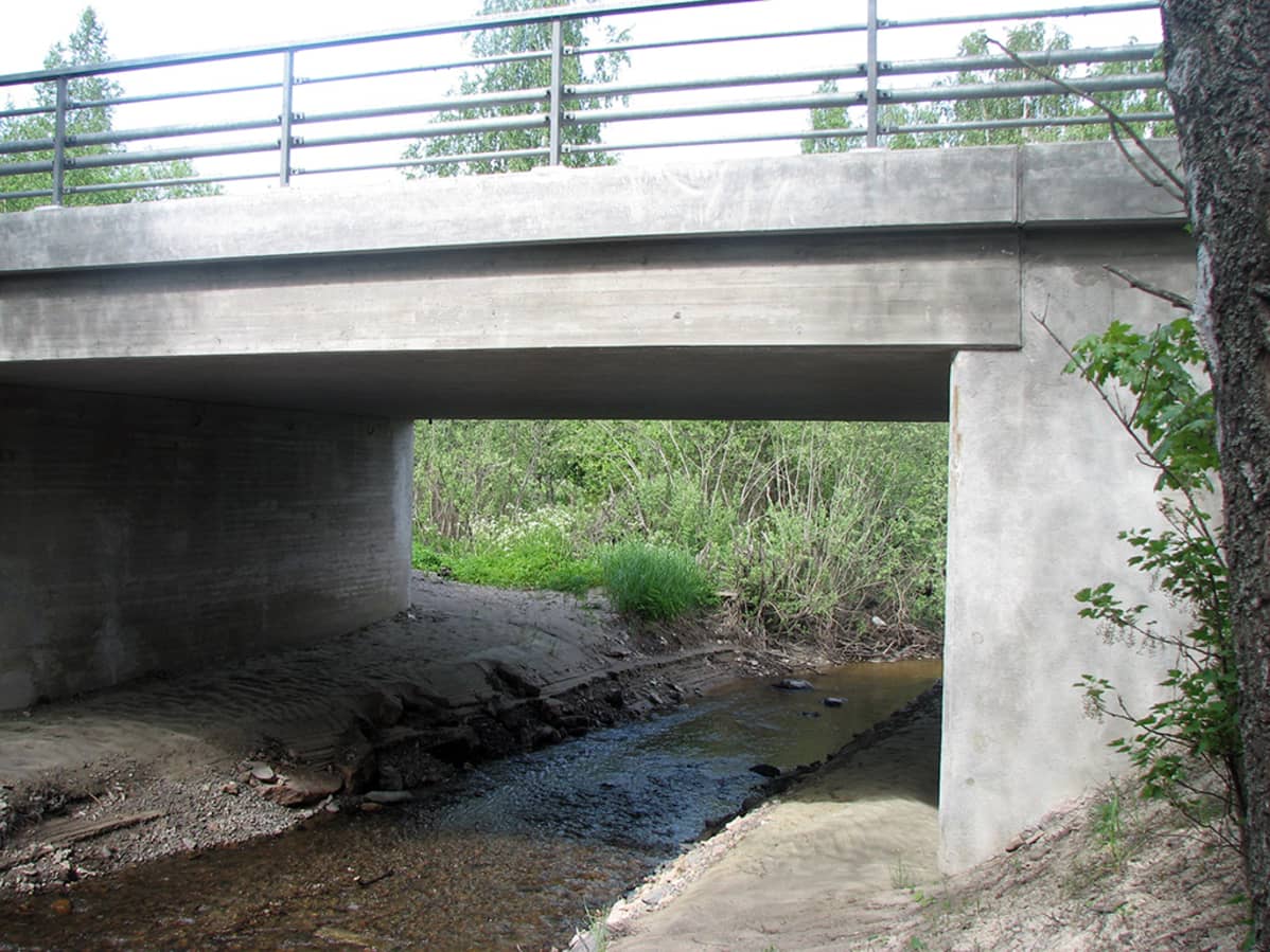 Kuivapolku.