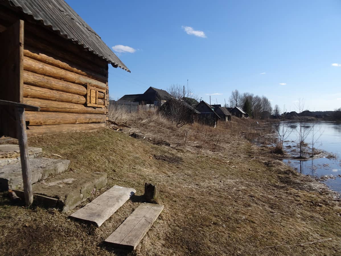 Savusaunoja rivissä rannalla, jokaisella talolla on omansa.