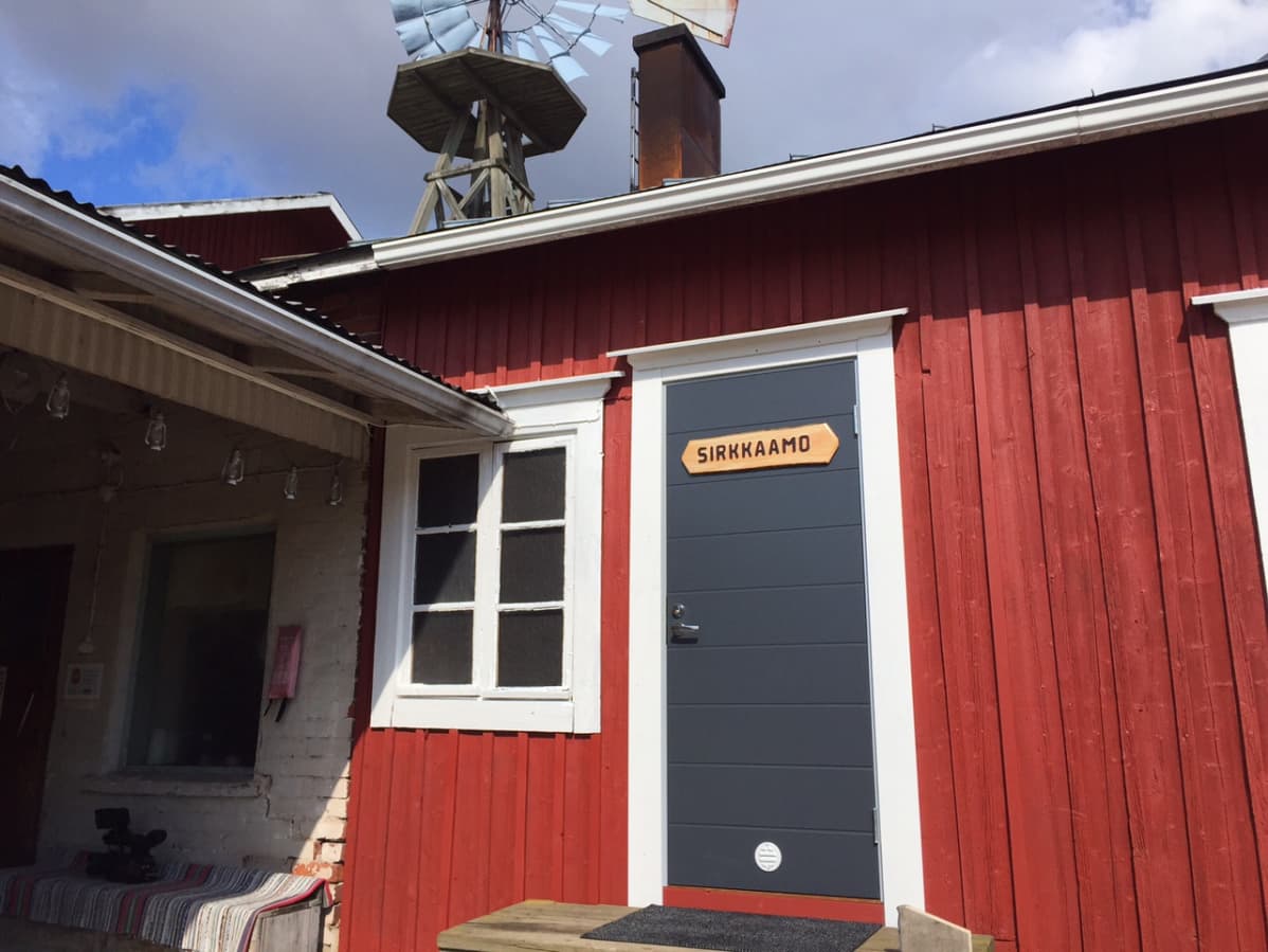Ollikkalan tilalla on kasvatettu sirkkoja huhtikuun alusta lähtien.