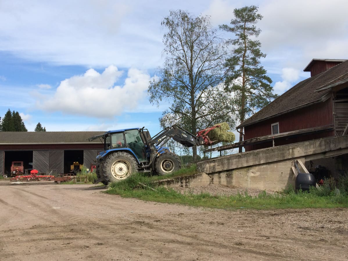 Traktori kuljettaa heinäpaalia maatilan rakennusten välissä