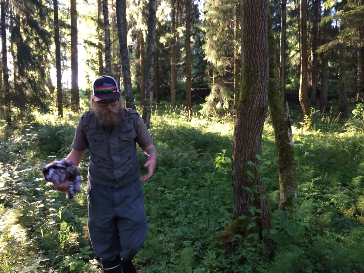 Joakim Suvanto etsii kasveja Tesoman metsäpuutarhassa.