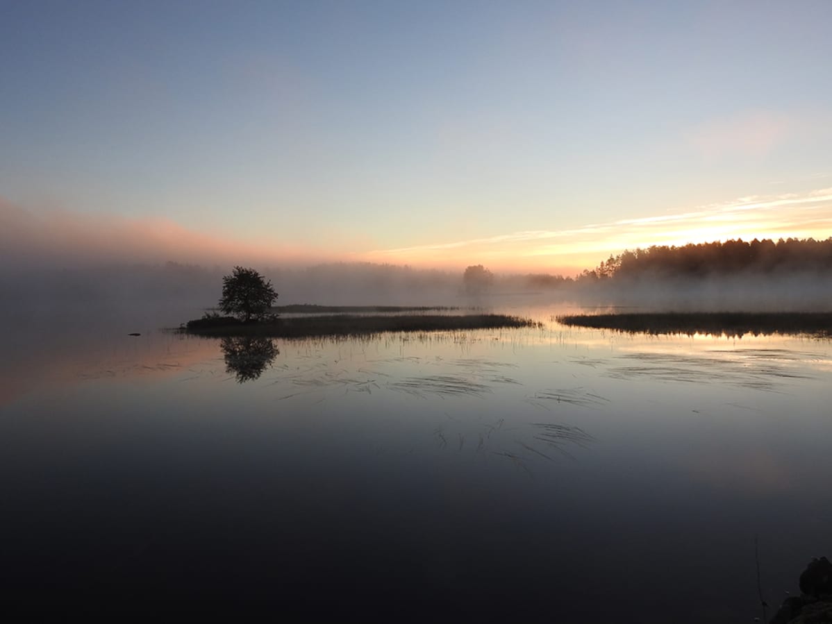 Usvainen aamu