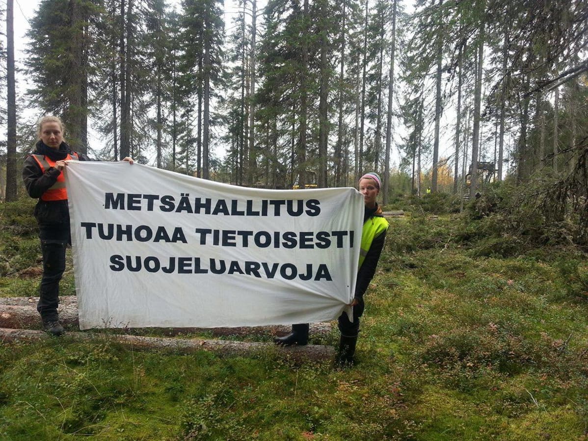 Luontoaktivisteja vastustamassa hakkuita.