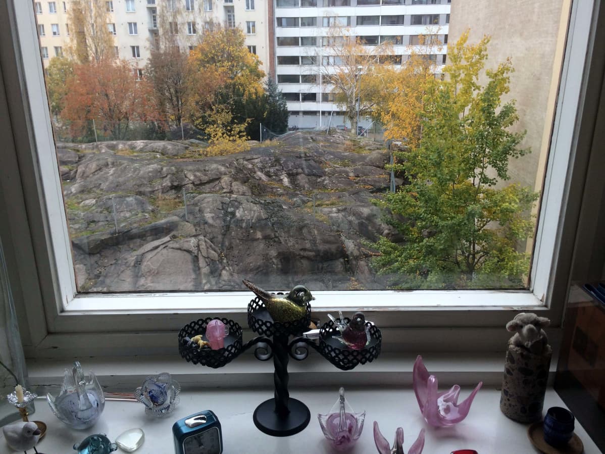 Sirkka-Liisa Lahtisen kotoa on suora näkymä kalliolle, jonka tilalle aiotaan rakentaa kerrostalo.