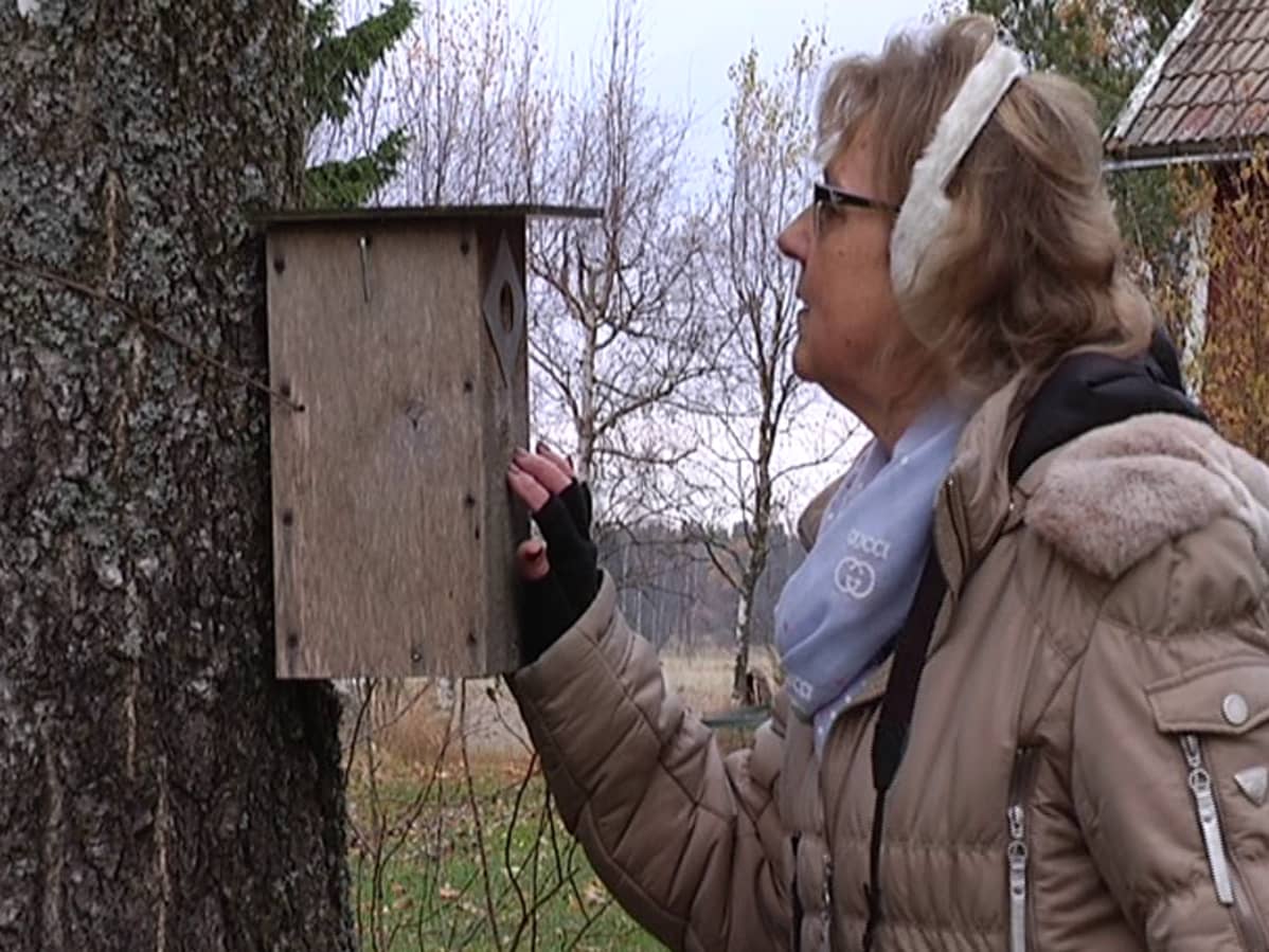 Marja Virta