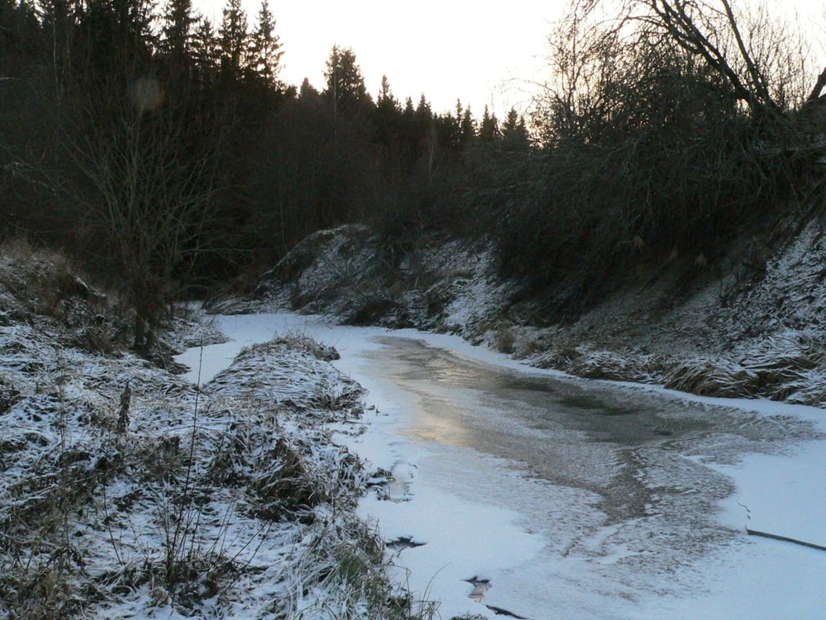 Savijoki tammikuussa