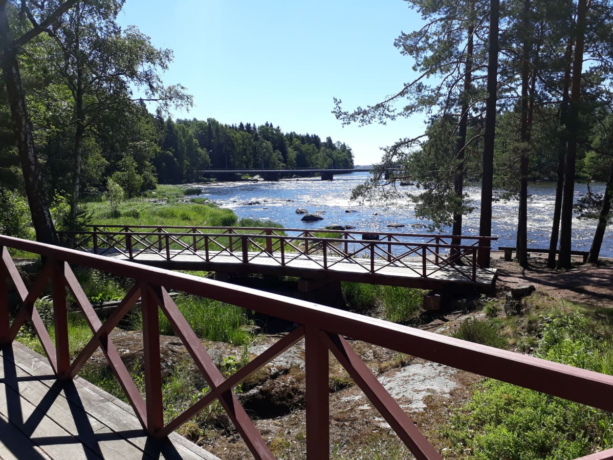 Langinkosken kuohut