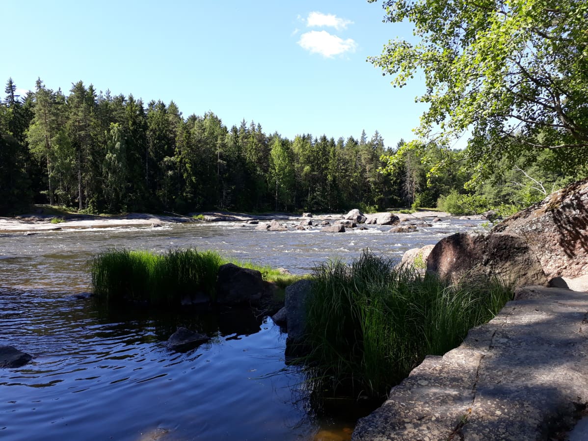 Langinkoski