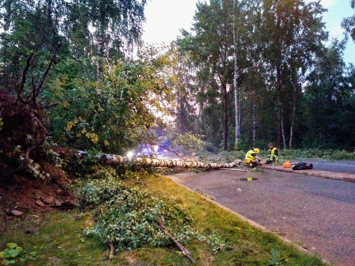 Raivaustöitä Helsingin Pakilassa.