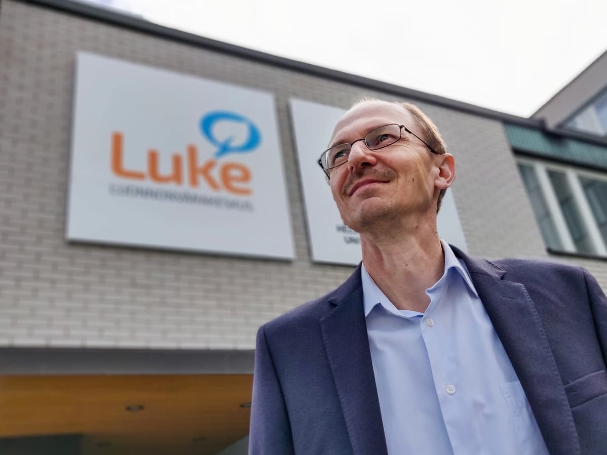 Jyrki Niemi, professori, Luke