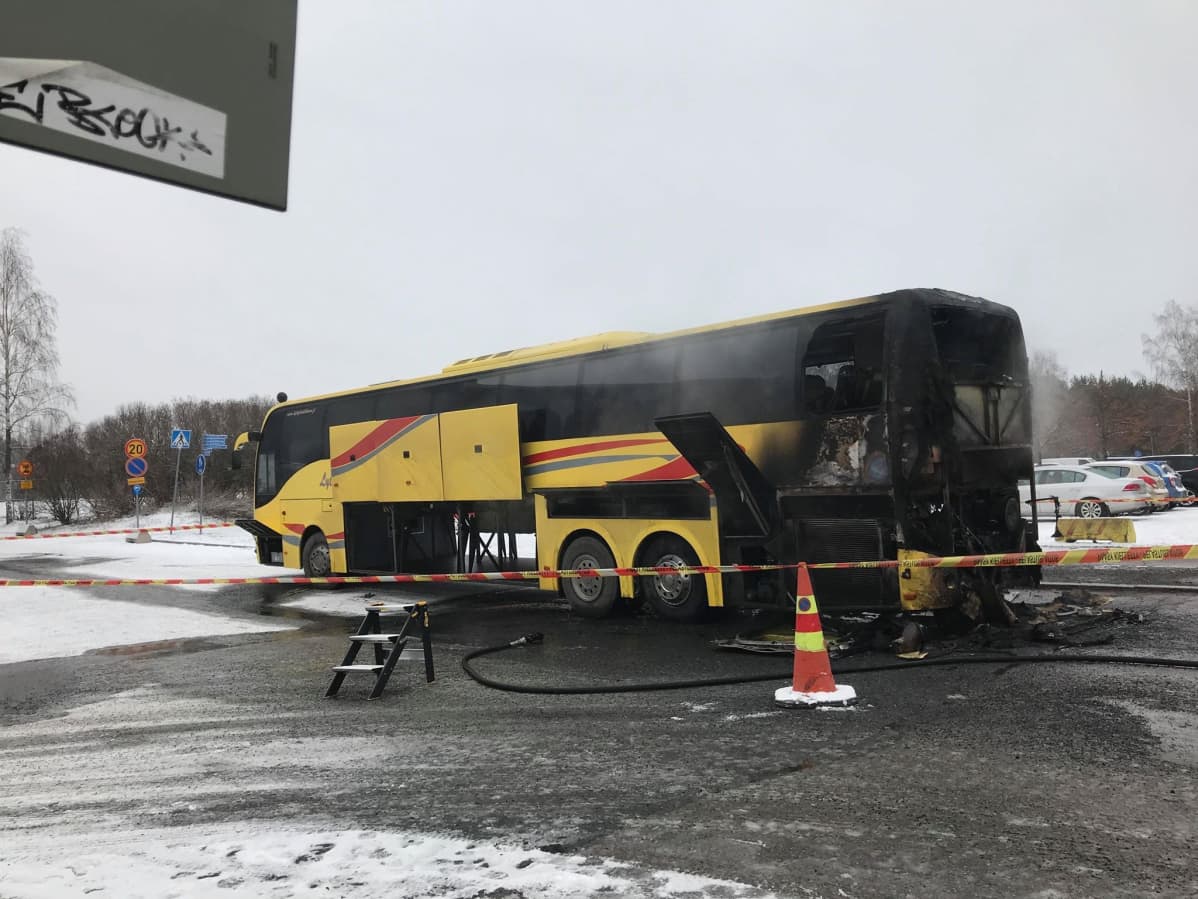palanut bussi