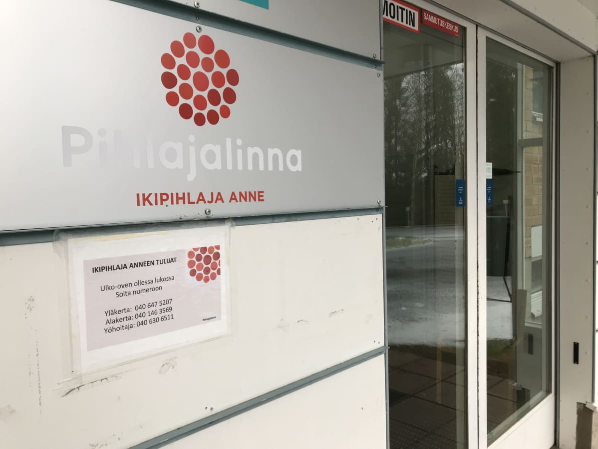 ikipihlaja