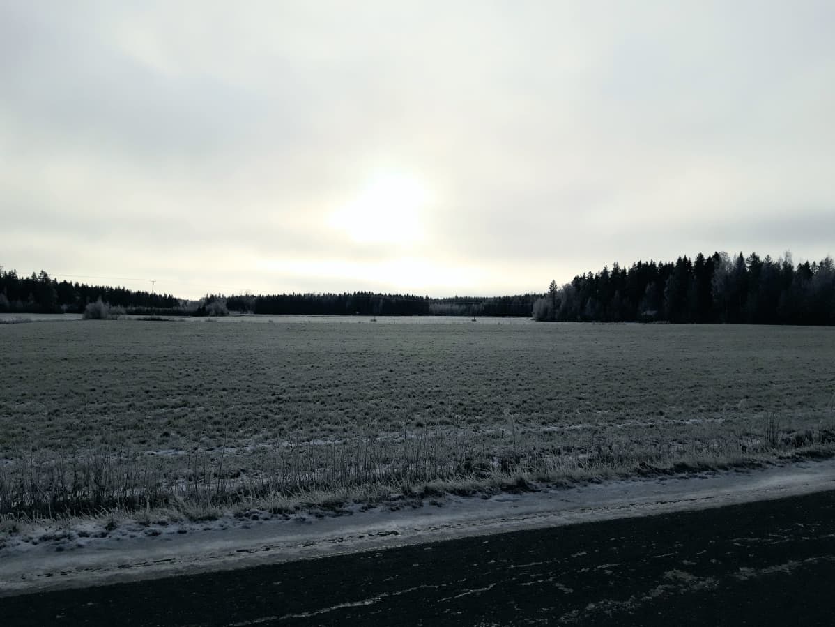 Talvista peltoaukeaa Vetelin Räyringissä.