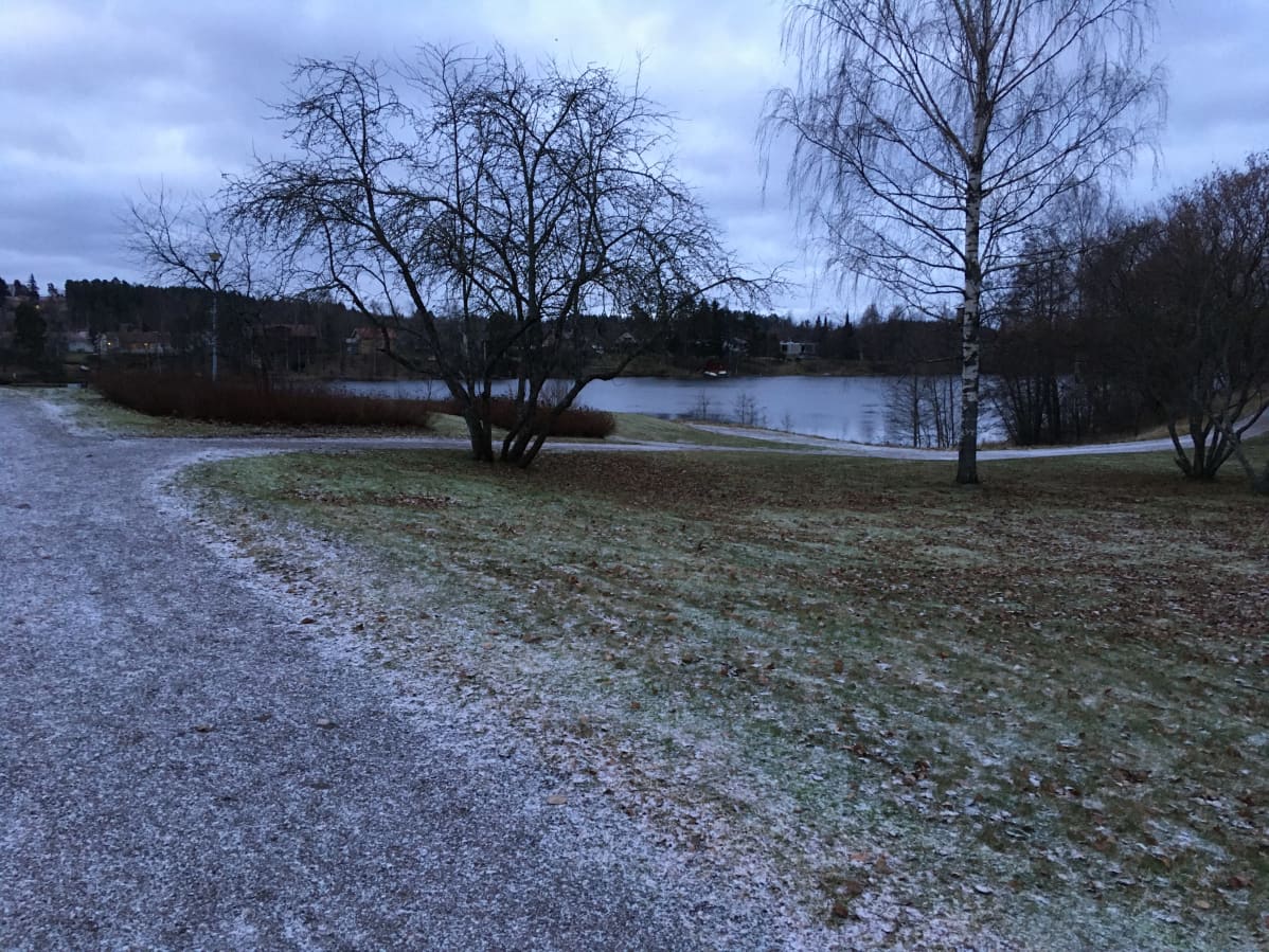 Rantapuisto Kuusankoskella Kymijoen varrella.