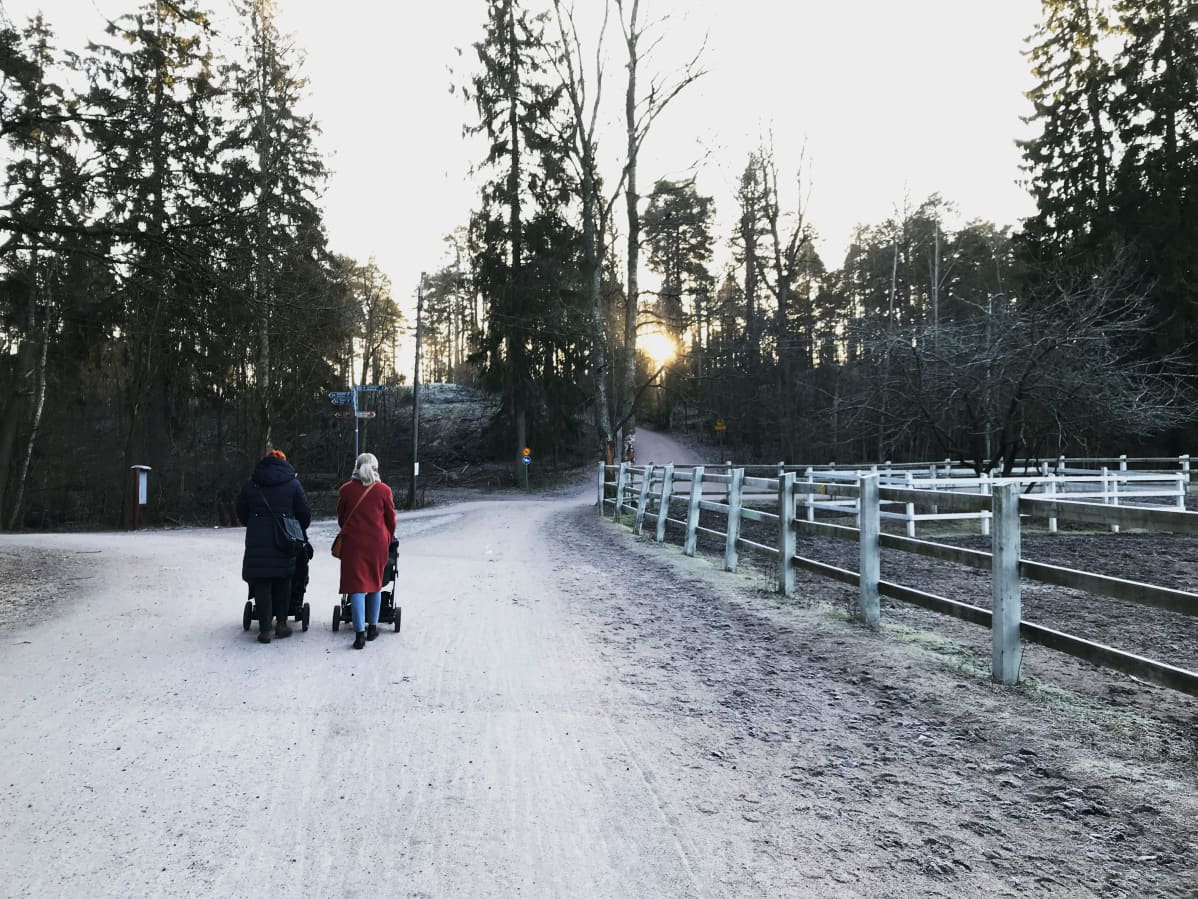 Kaksi naista työntää lapsia rattaisssa Helsingin Keskuspuistossa.