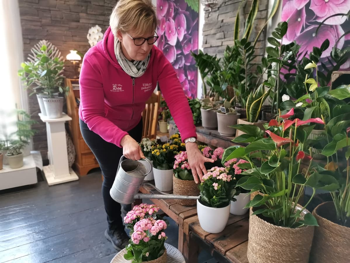 Kukkakauppias kaataa vettä kukille.