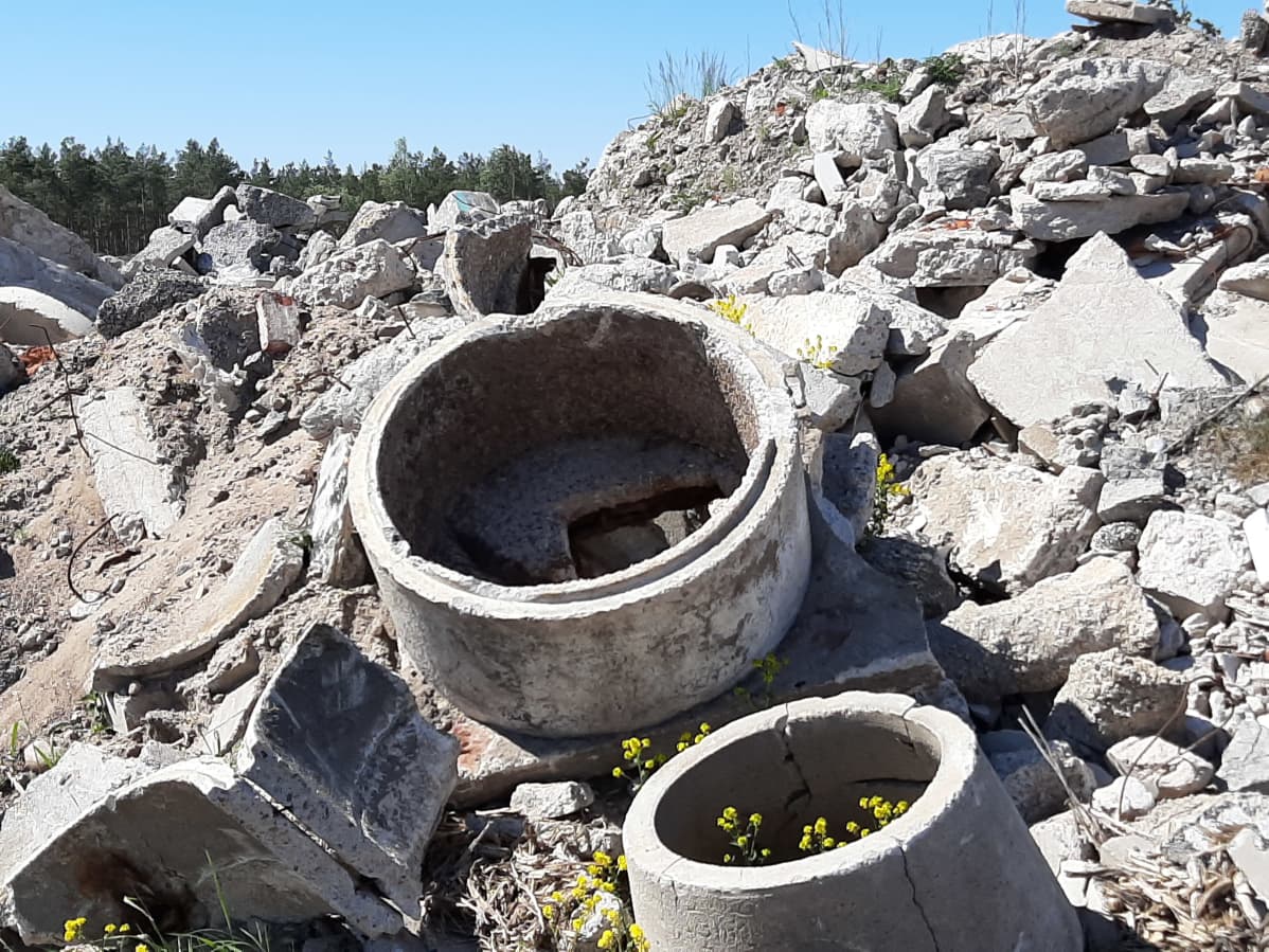 Betongringar i naturen