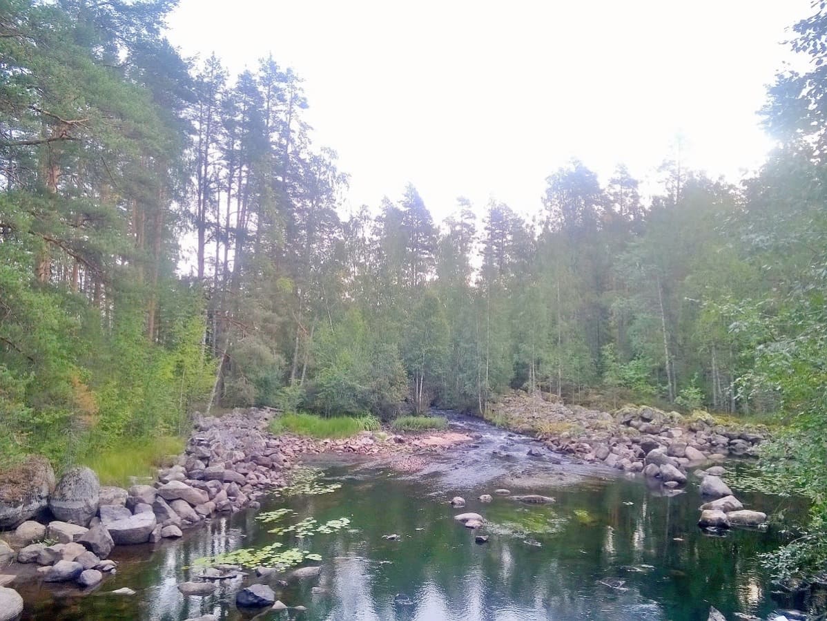 Mämmenkoski ennen kunnostusta vuonna 2017