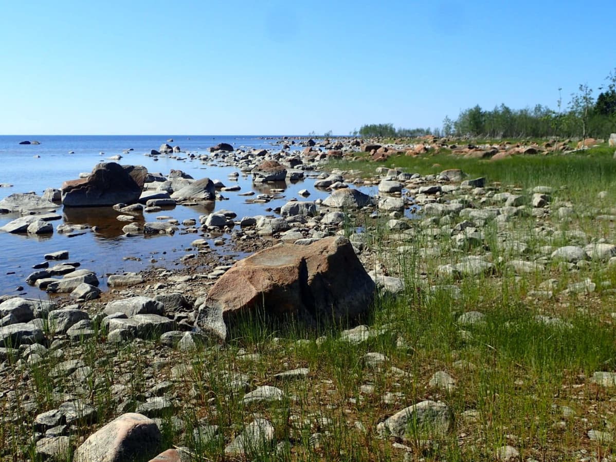 Kivikkoon on vaikea rantautua saati pystyttää telttaa.