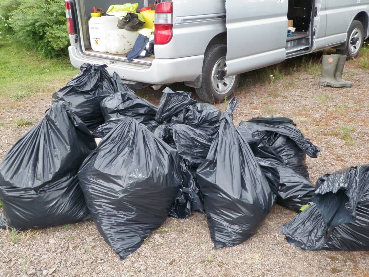 jätesäkkejä täynnä jättipalsamia