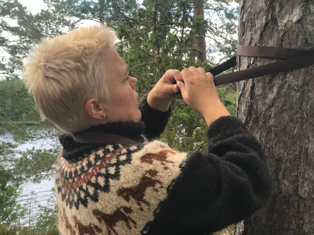Nainen kiinnittää männyn runkoon riippumaton kantoliinaa