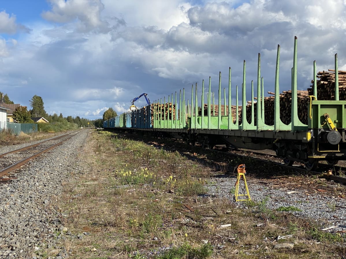 Teuvan asemalla lastataan puutavaravaunuja