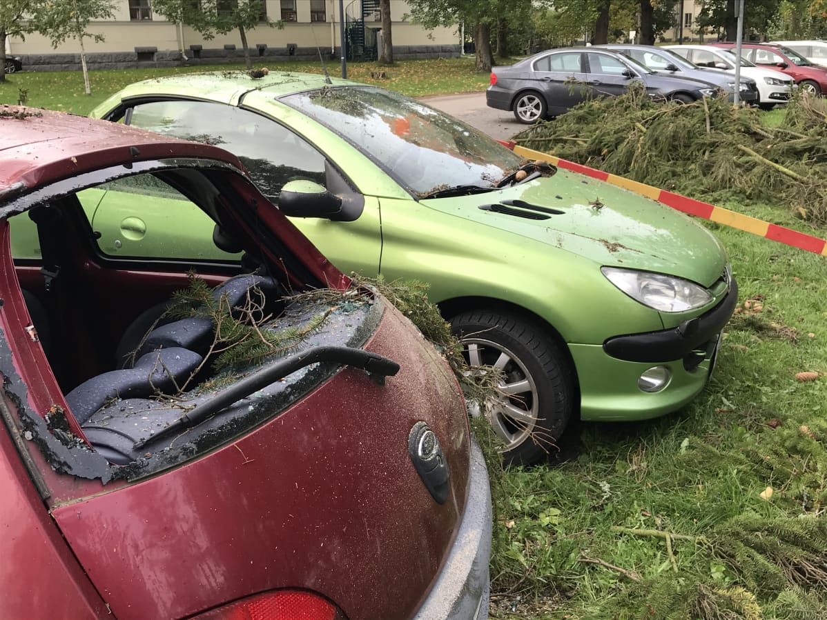 Myrsky kaatoi puun Nokialla
